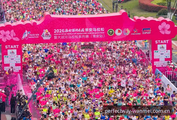 资深用户揭秘：完美体育2026新版教程实战经验分享